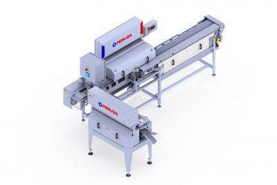 Pocket type fish nobbing and filleting