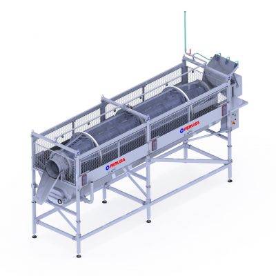 Fish descaling machine