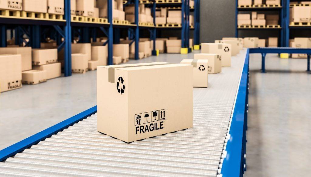 parcel sortation conveyor with boxes