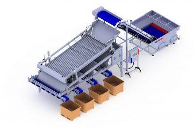 Línea de clasificación de rodillos para peces pelágicos